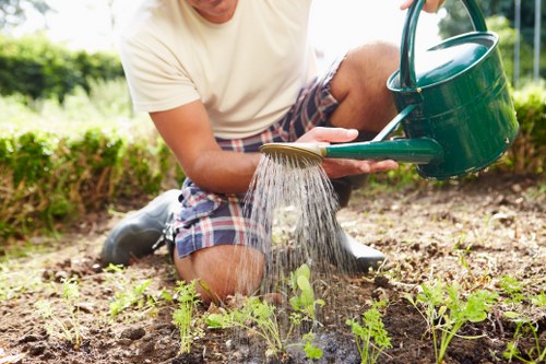 Gardener inspecting a residential garden in Marylebone